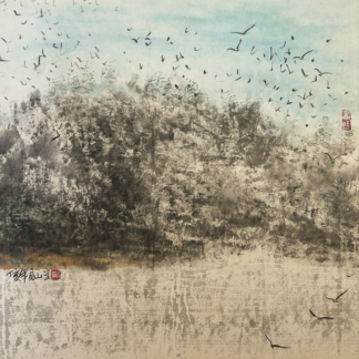 Birds Follow