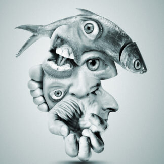 The Face Within the Fish