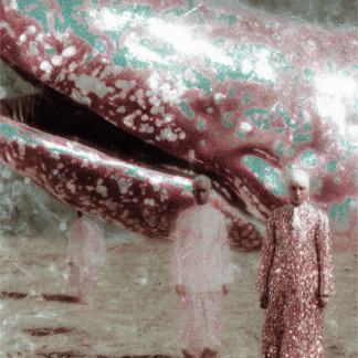 Whispering Tide