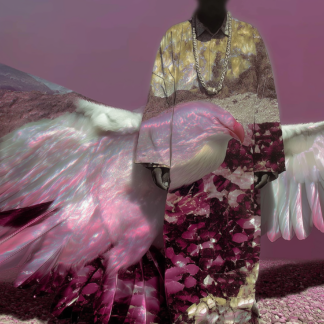 The Winged Guardian