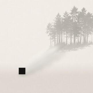 The Weight of One Pixel I — Forest
