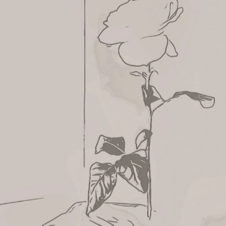 Silhouette of a Peony